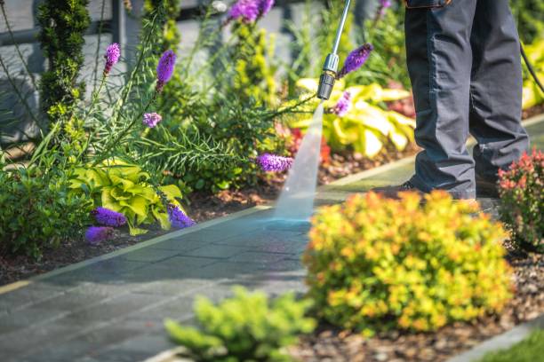 Best Post-Construction Pressure Washing  in Bridgeport, OH