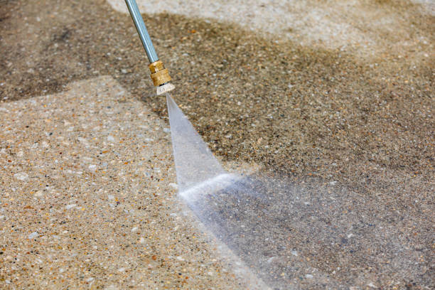 Best Roof Washing  in Bridgeport, OH